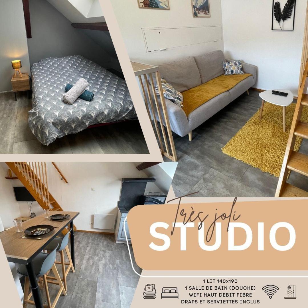 Superbe Studio A Proximite Du Centre-Ville Saint-Die-des-Vosges Екстер'єр фото