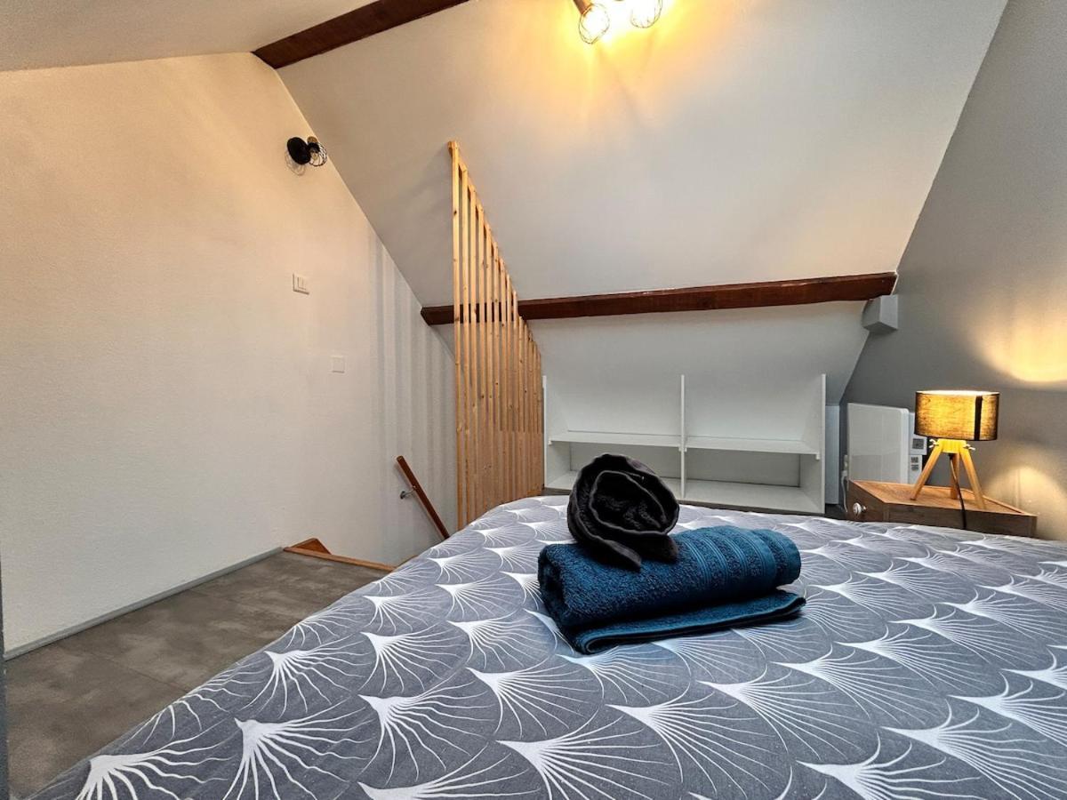 Superbe Studio A Proximite Du Centre-Ville Saint-Die-des-Vosges Екстер'єр фото